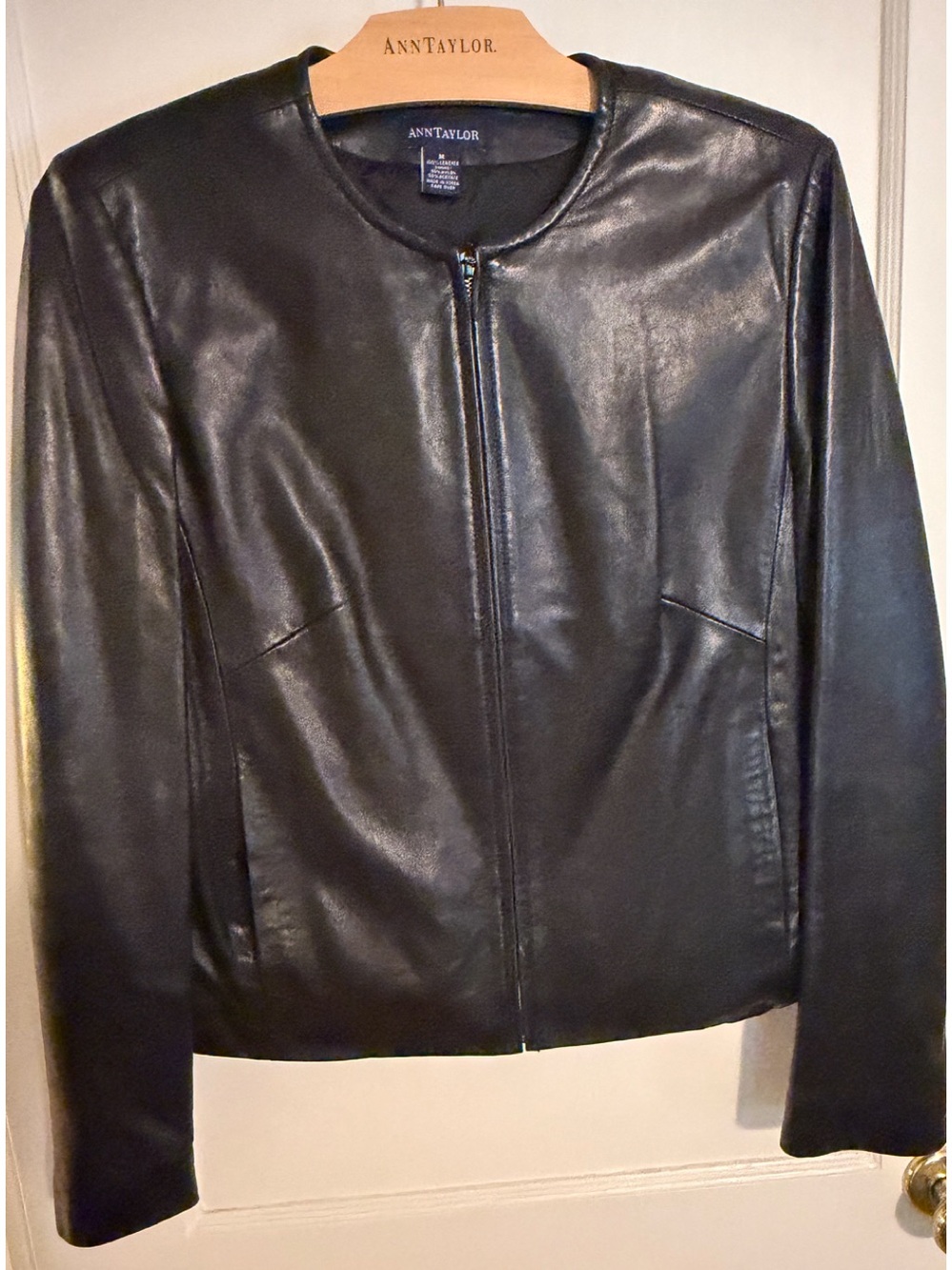 Ann Taylor Leather Jacket